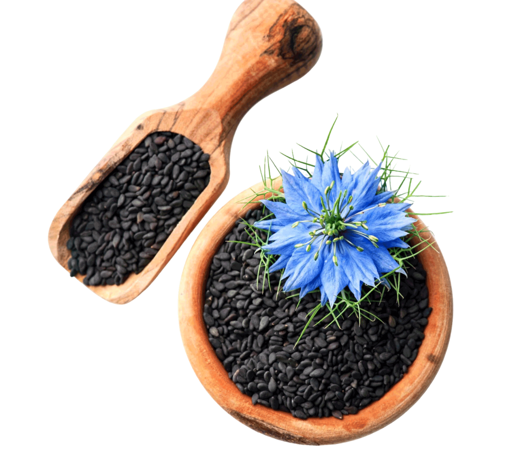 nigellaseed